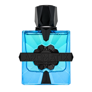 French Avenue Aromatix Magnetiq 100ML XDP — front-facing bottle, transparent background